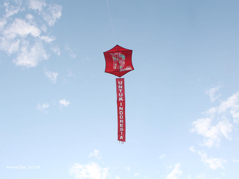 International Kite Festival 2014 at Pangandaran East Beach