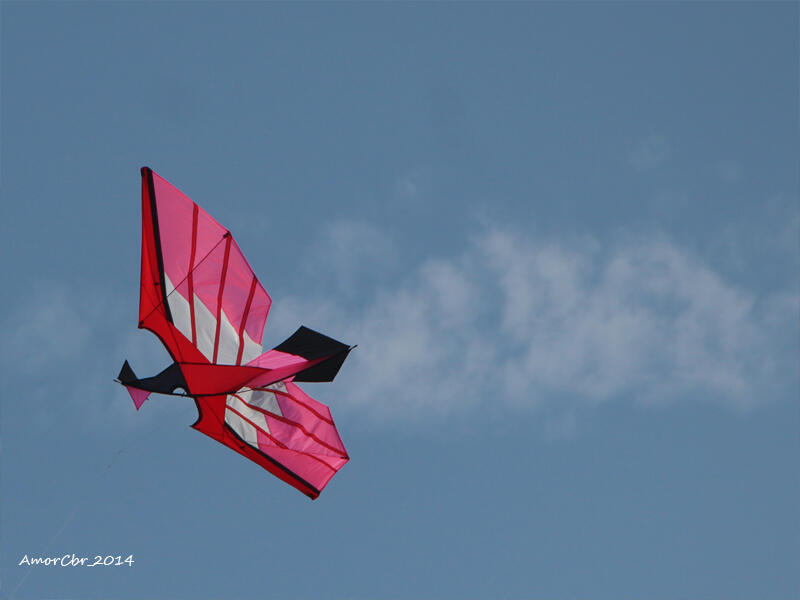 International Kite Festival 2014 at Pangandaran East Beach