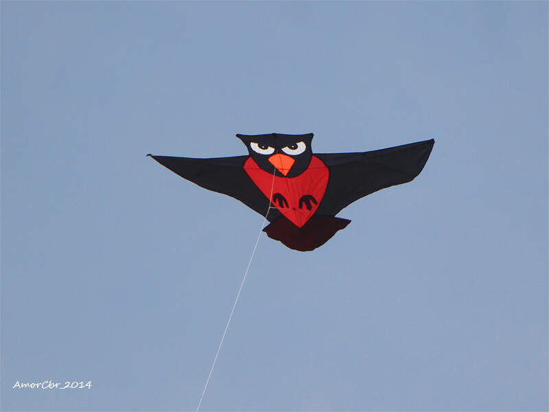 International Kite Festival 2014 at Pangandaran East Beach
