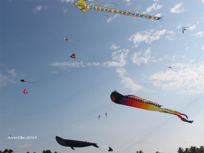 International Kite Festival 2014 at Pangandaran East Beach