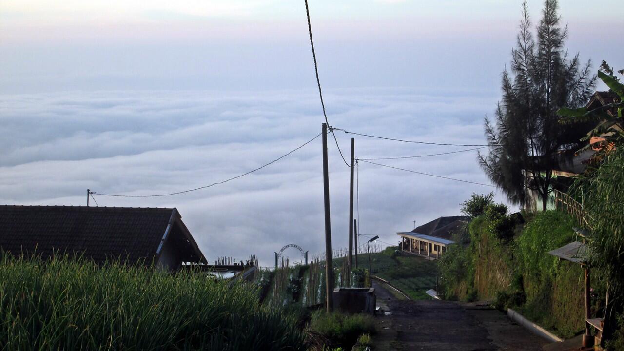 Merbabu 3145mdpl via Selo (02-04 Mei 2014)