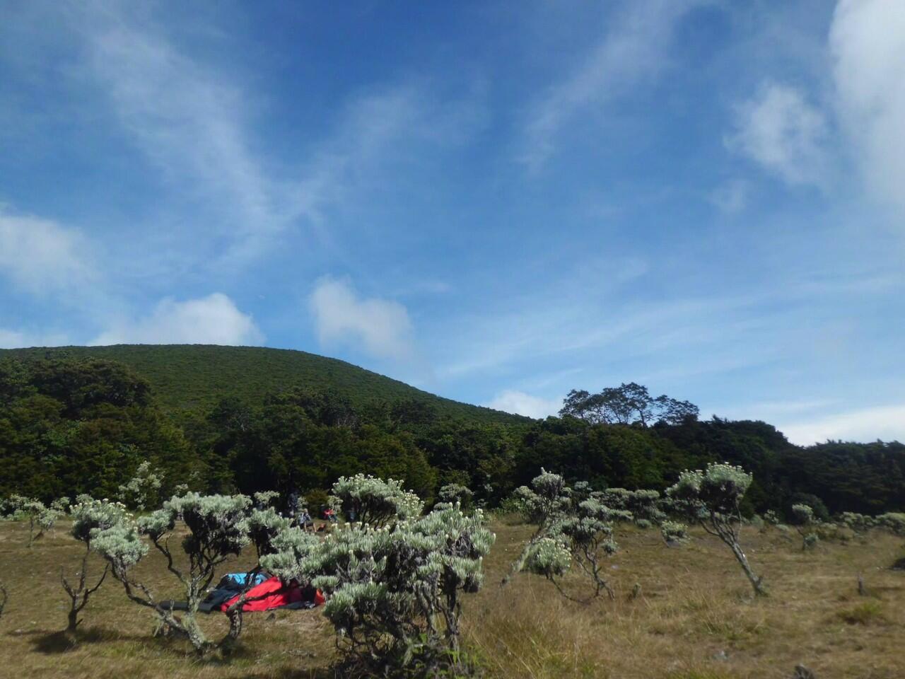 Pendakian Gn.Gede via putri 14-16 Mei 2014