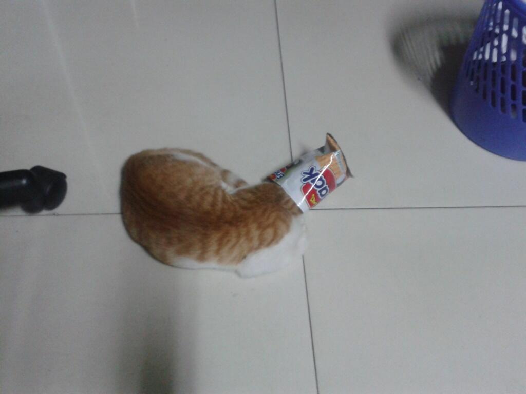 Kucing yg berubah menjadi pahlawan bertopeng........