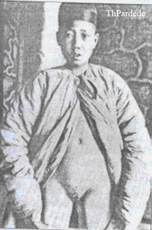 HUKUM KEBIRI?? Apa dan Bagaimana?