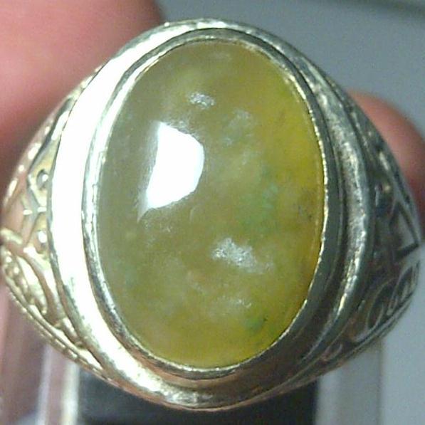 LUMUT ACEH KRISTAL SIZE KANTORAN