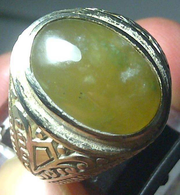 LUMUT ACEH KRISTAL SIZE KANTORAN