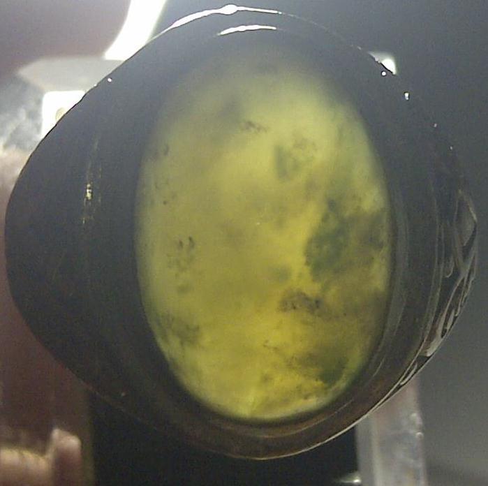 LUMUT ACEH KRISTAL SIZE KANTORAN