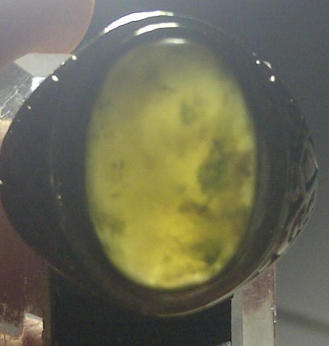 LUMUT ACEH KRISTAL SIZE KANTORAN