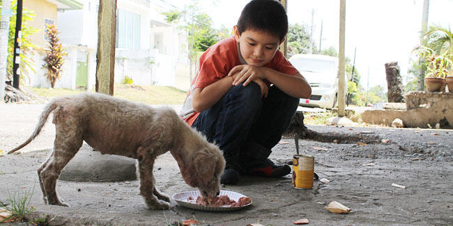 Anak Baik Hati ,Merawat Hewan-Hewan Terlantar di Garasi Rumahnya