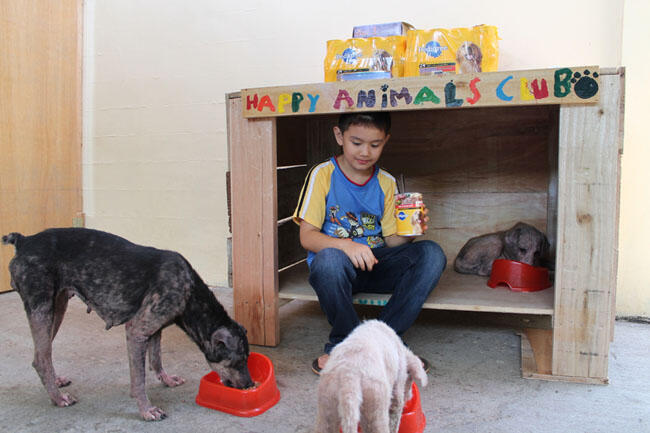 Anak Baik Hati ,Merawat Hewan-Hewan Terlantar di Garasi Rumahnya