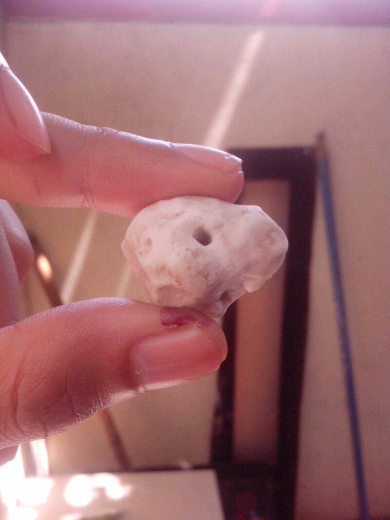 Di Jual Mani Gajah