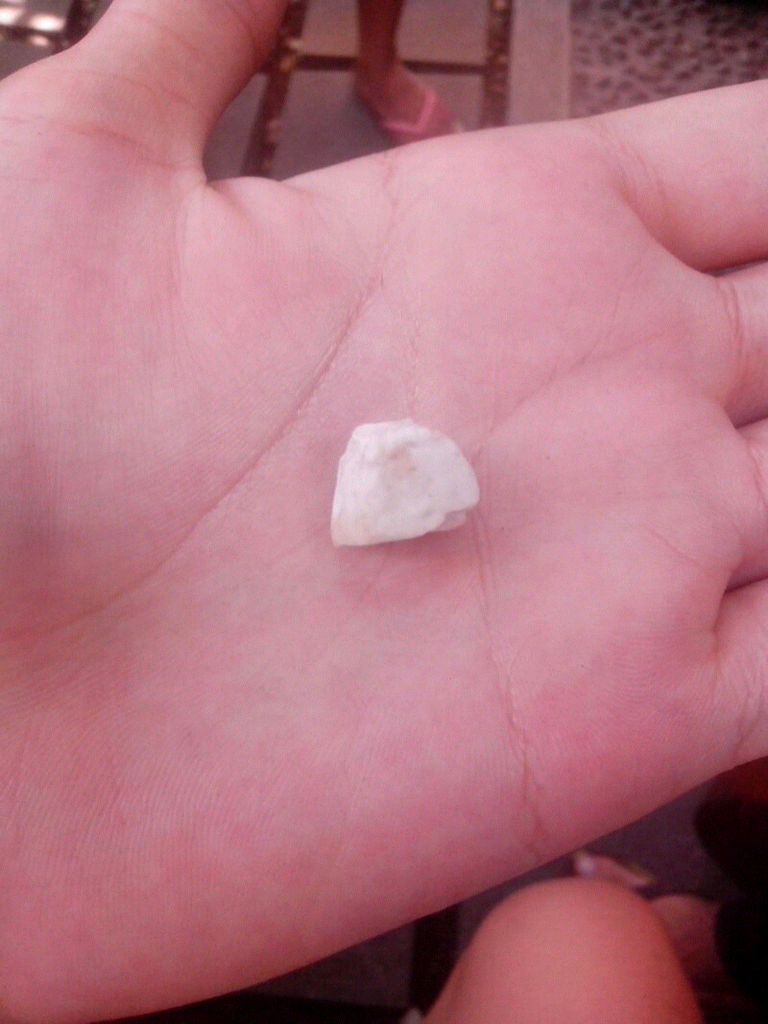 Di Jual Mani Gajah