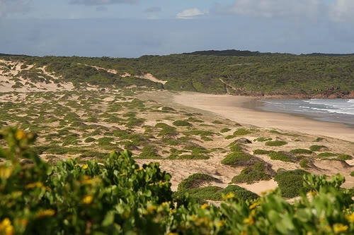 Woww 10 Pantai yang Pengunjungnya Diperbolehkan Bugil (+pic)