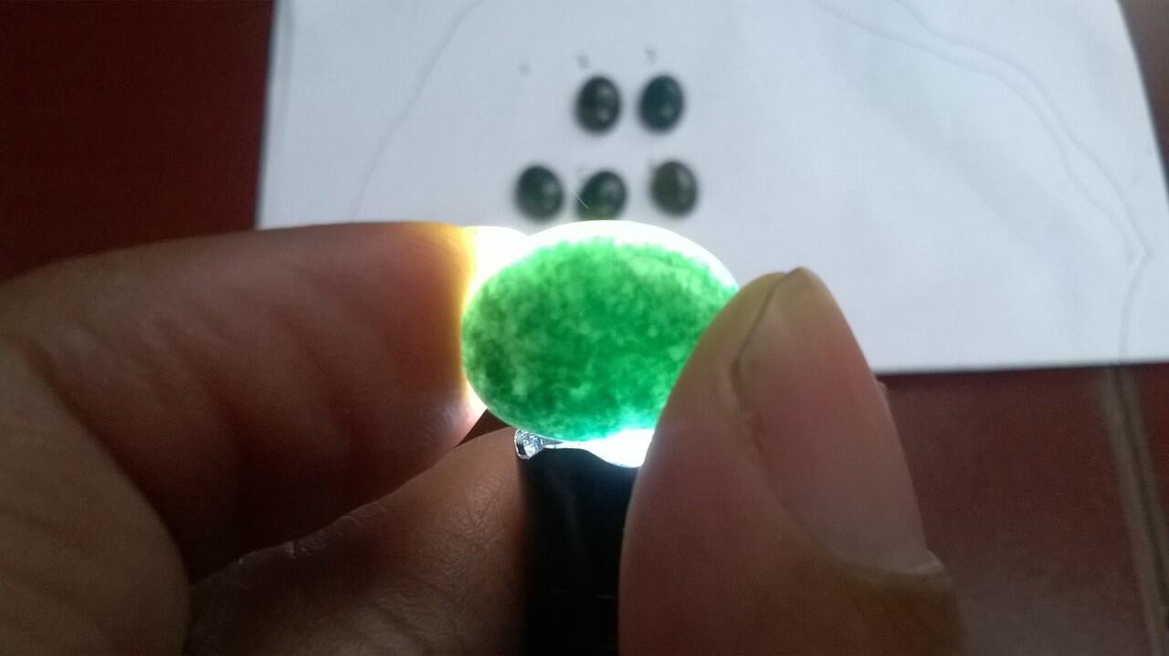 Batu Garut Lumut Natural Pasti Murah