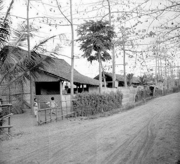 &#91;FOTO&#93; PENAMPAKAN KOTA BANYUWANGI TEMPOE DOELOE