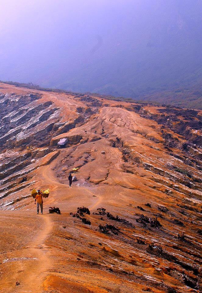 &#91;CATPER&#93; Photovolcanica of Glamor Ijen Crater &amp; Baluran Savanna