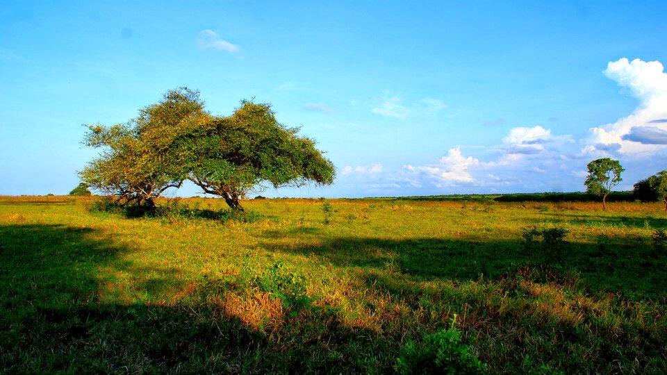 &#91;CATPER&#93; Photovolcanica of Glamor Ijen Crater &amp; Baluran Savanna