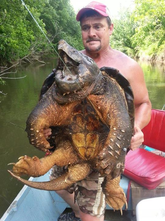 Pemancing Lele Malah dapet Kura Kura PraSejarah