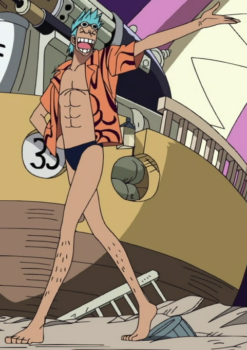 All about Franky One Piece
