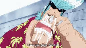 All about Franky One Piece 