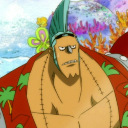 All about Franky One Piece