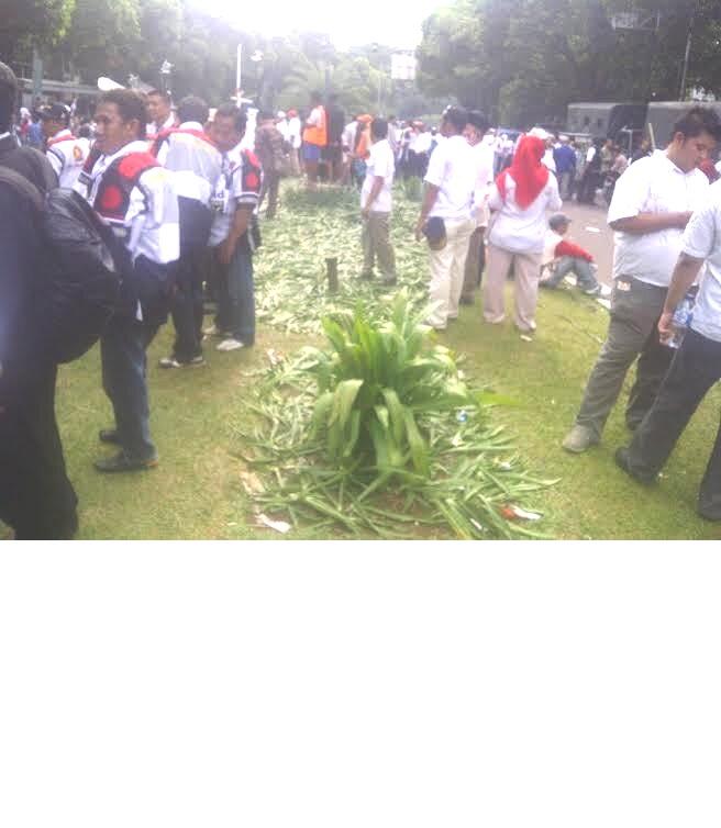 &#91; &quot;bajingan semua&quot;, risma mode on&#93; Taman Kota Terinjak-injak Massa Prabowo-Hatta