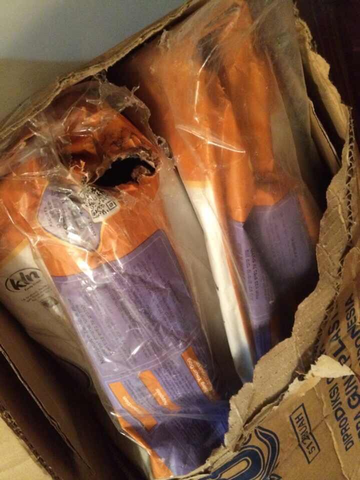 Hati2 dgn shiropetshop.com!!