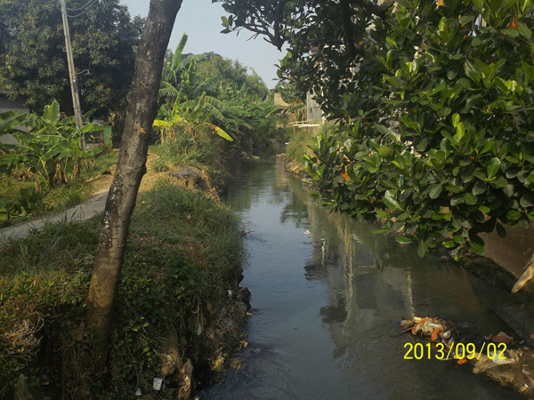 Atasi banjir, Jokowi bangun Waduk Rambutan seluas 8 hektar