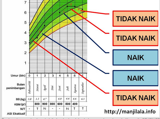 CARA MEMBACA (KMS) KARTU MENUJU SEHAT