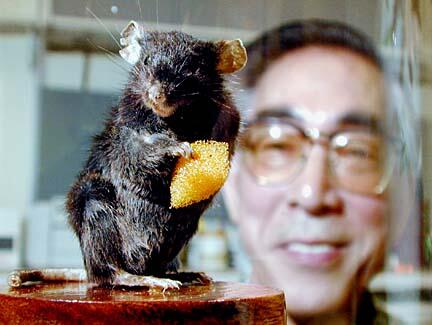 5 Hewan Kloning Yang Menyulut Kontroversi