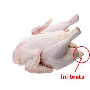 4 Bagian Ayam Paling Disukai