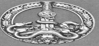 SEJARAH ASSASIN DAN HUBUNGANNYA DENGAN ISLAM