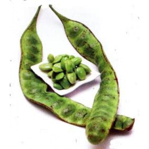 Cara Masak Enak Ala Resto Modal 5 Ribu Doang Gan, Buat Anak Kost Mantap Nih...