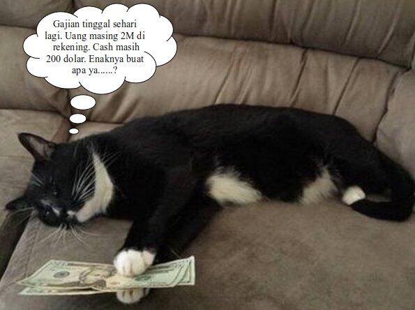 &#91;PIC&#93; Kucing Tajir