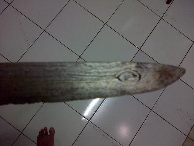 Pusaka Badik Pateha