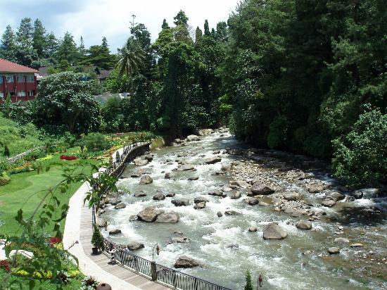 Kuliner Cisarua, Puncak