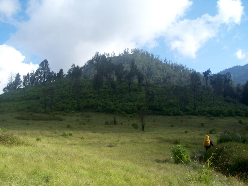 &#91;CATPER&#93; Menjelajah 'surga' tersembunyi di Gunung Argopuro, 5-11 Mei 2013 Via Baderan