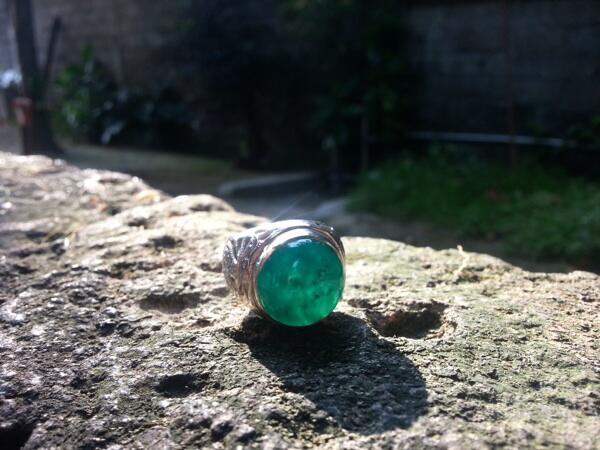 Bacan palamea bluish green klimis