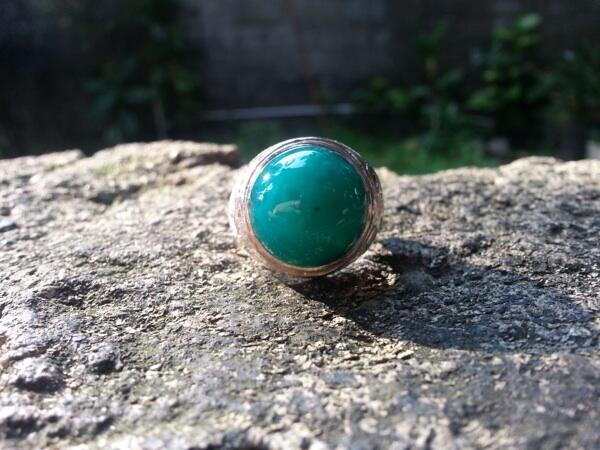 Bacan palamea bluish green klimis