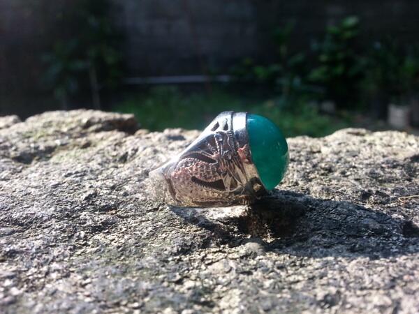 Bacan palamea bluish green klimis
