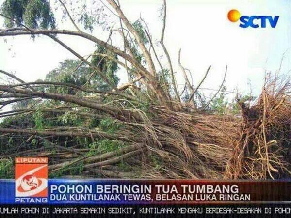 COBA TEBAK SIAPA YANG SALAH?