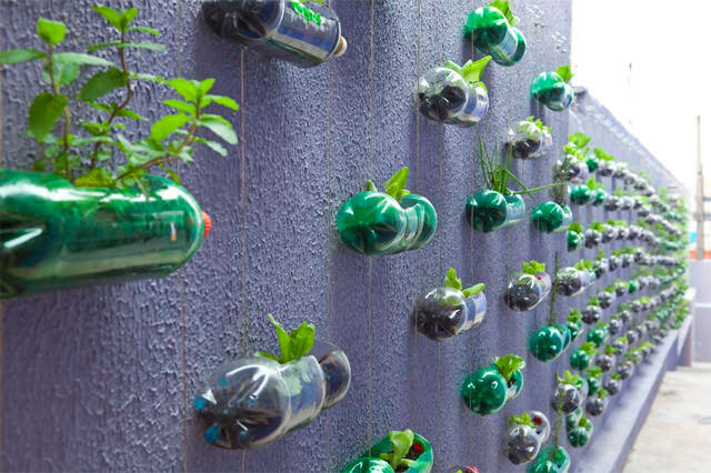 Desain Samping Rumah Agan/Wati Pake Tanaman Dari Botol Bekas Kayak Gini #GoGreen