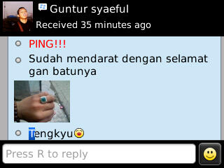 CapCayGems[J>bacan Palamea(kecil imutz+kristal)