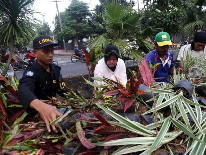 Aksi Walikota Surabaya Perbaiki Taman Bungkul , Salut gan Berani Turun Langsung !