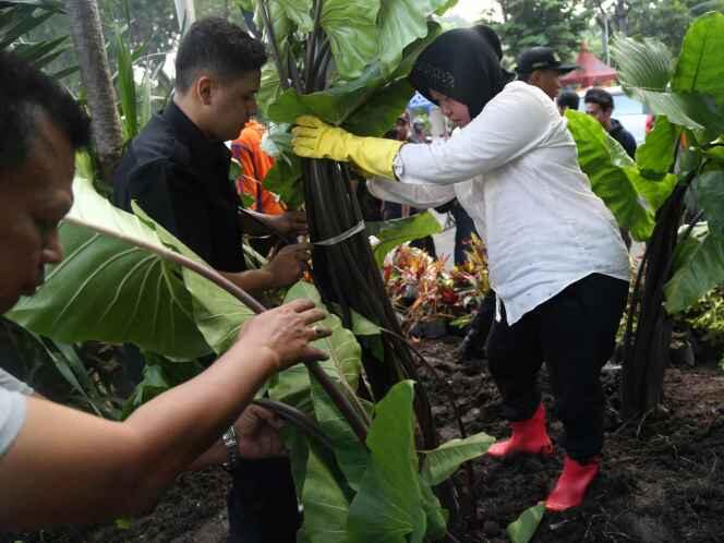 Aksi Walikota Surabaya Perbaiki Taman Bungkul , Salut gan Berani Turun Langsung !