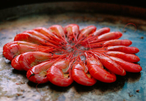 Udang Indonesia menggeser Udang Vietnam !!!