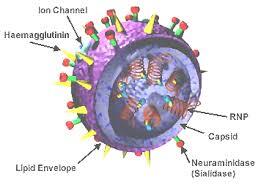 Science Thread - Biological weapon - Airborne Agent - konspirasi ?