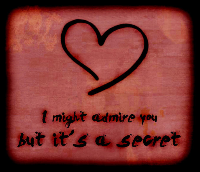 Stupid Admirer..