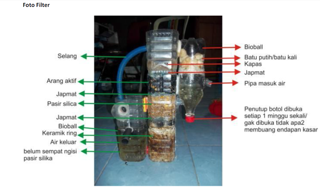 TIPS MEMBUAT FILTER AQUARIUM, TANPA KURAS AIR SELAMANYAAAAA 100 tahun