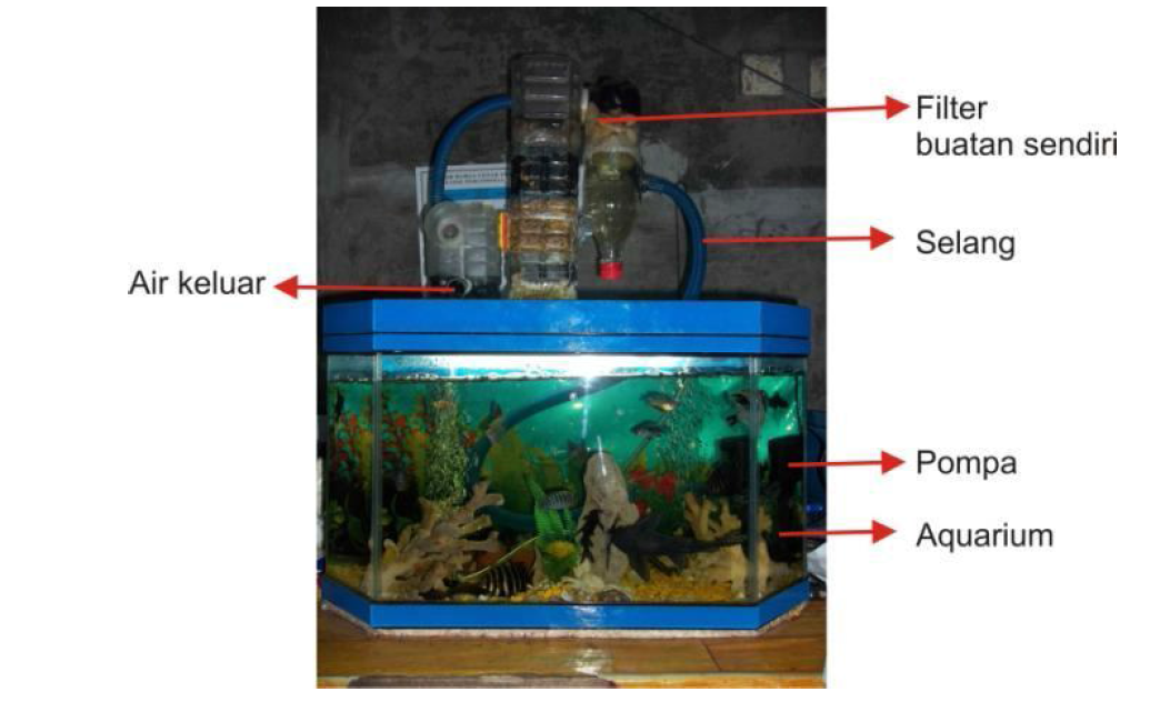 TIPS MEMBUAT FILTER AQUARIUM, TANPA KURAS AIR SELAMANYAAAAA 100 tahun